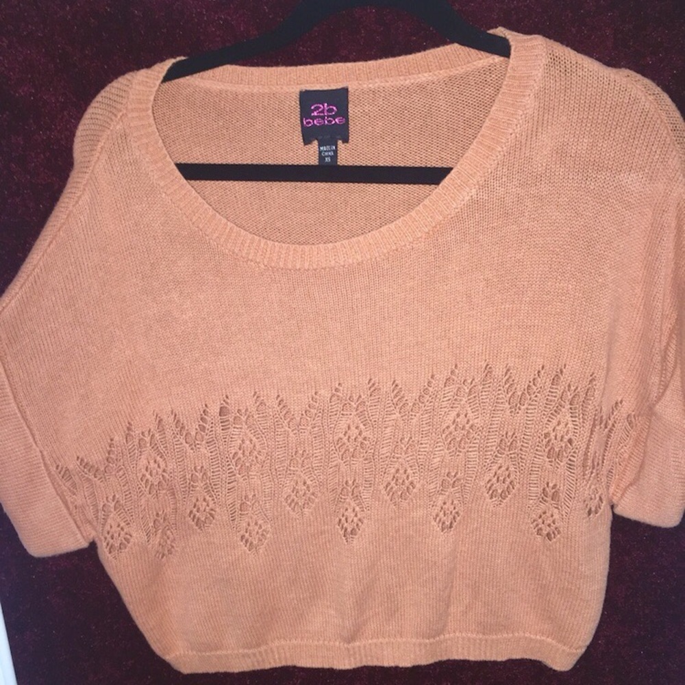 Gingerbread Crop Top